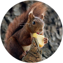 Ben Diemert Ben Diemert